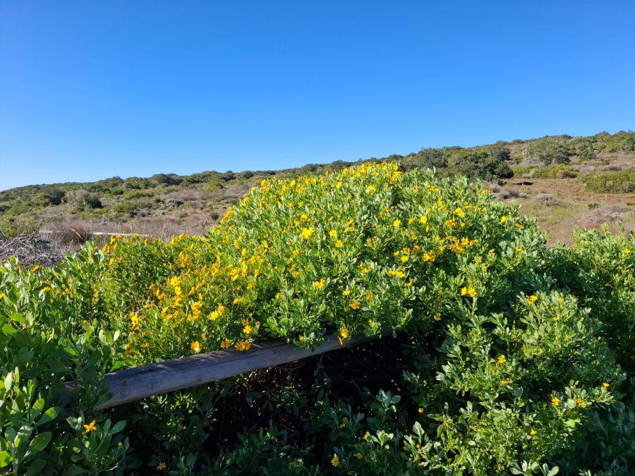 3 Bedroom Property for Sale in Stilbaai Rural Western Cape